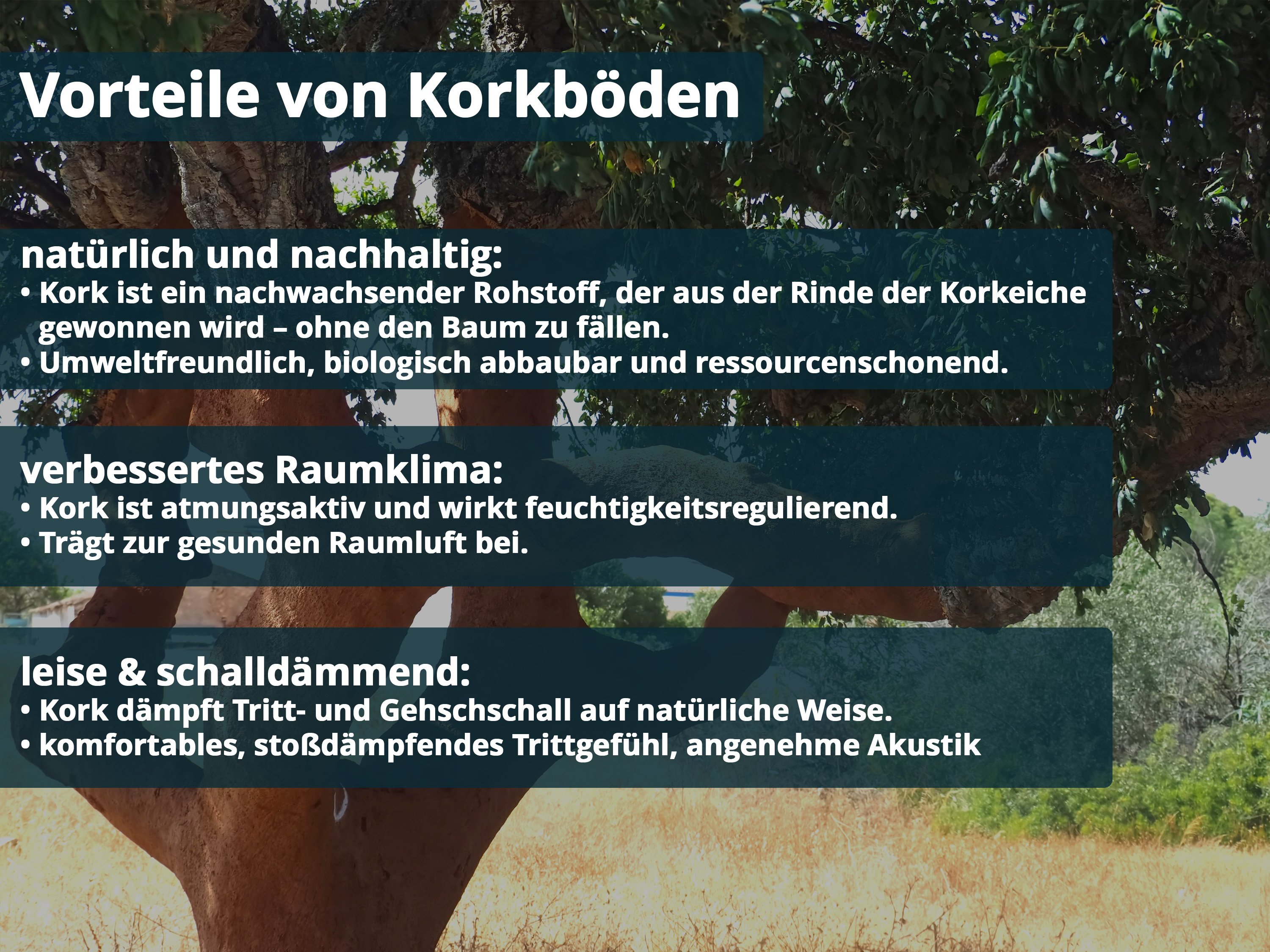TRECOR® Klick Korkboden Stilo - 10 mm Stark - Farbe: Natur 