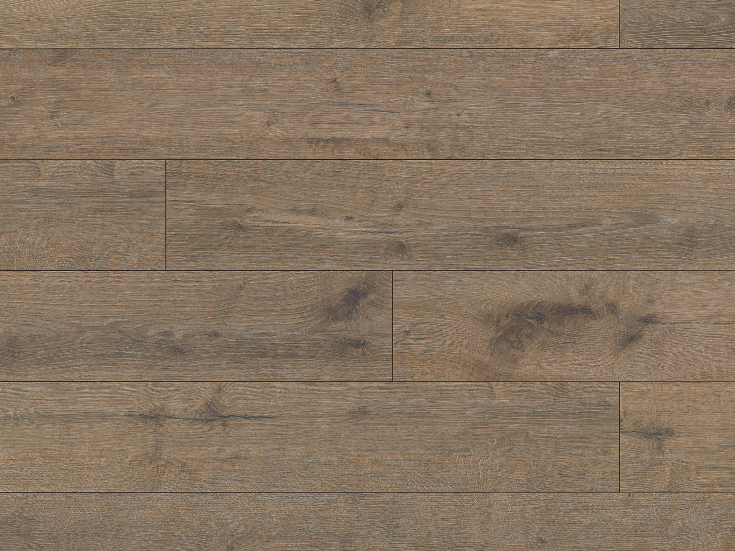 Hare Tegernsee Oak K664 Laminat Langdiele mit Fase Altitude 12 - mit MO.RE KronoOriginal®