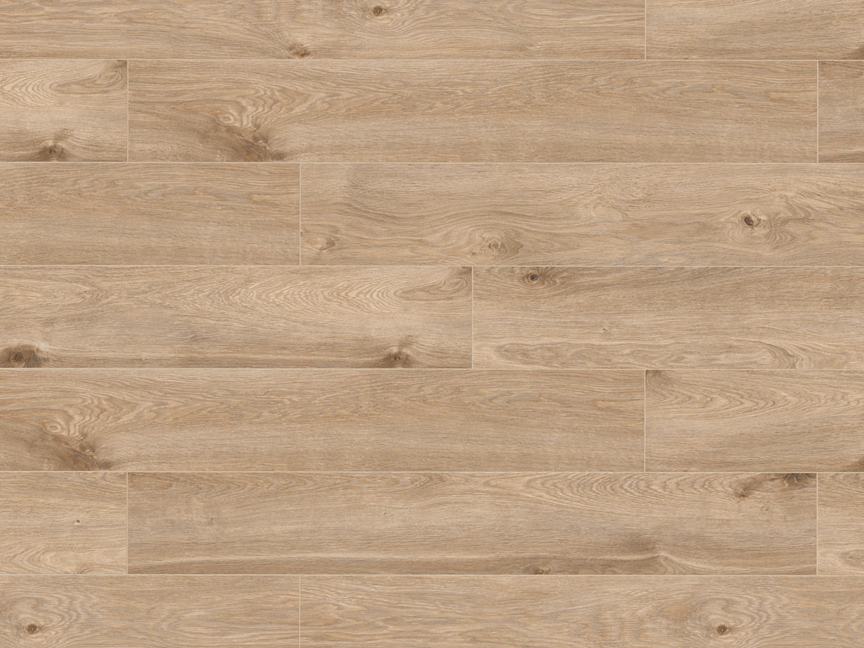 Klick-Designboden Eurus Oak K406 Organic Classic 8 mm, mit O.R.C.A Technologie
