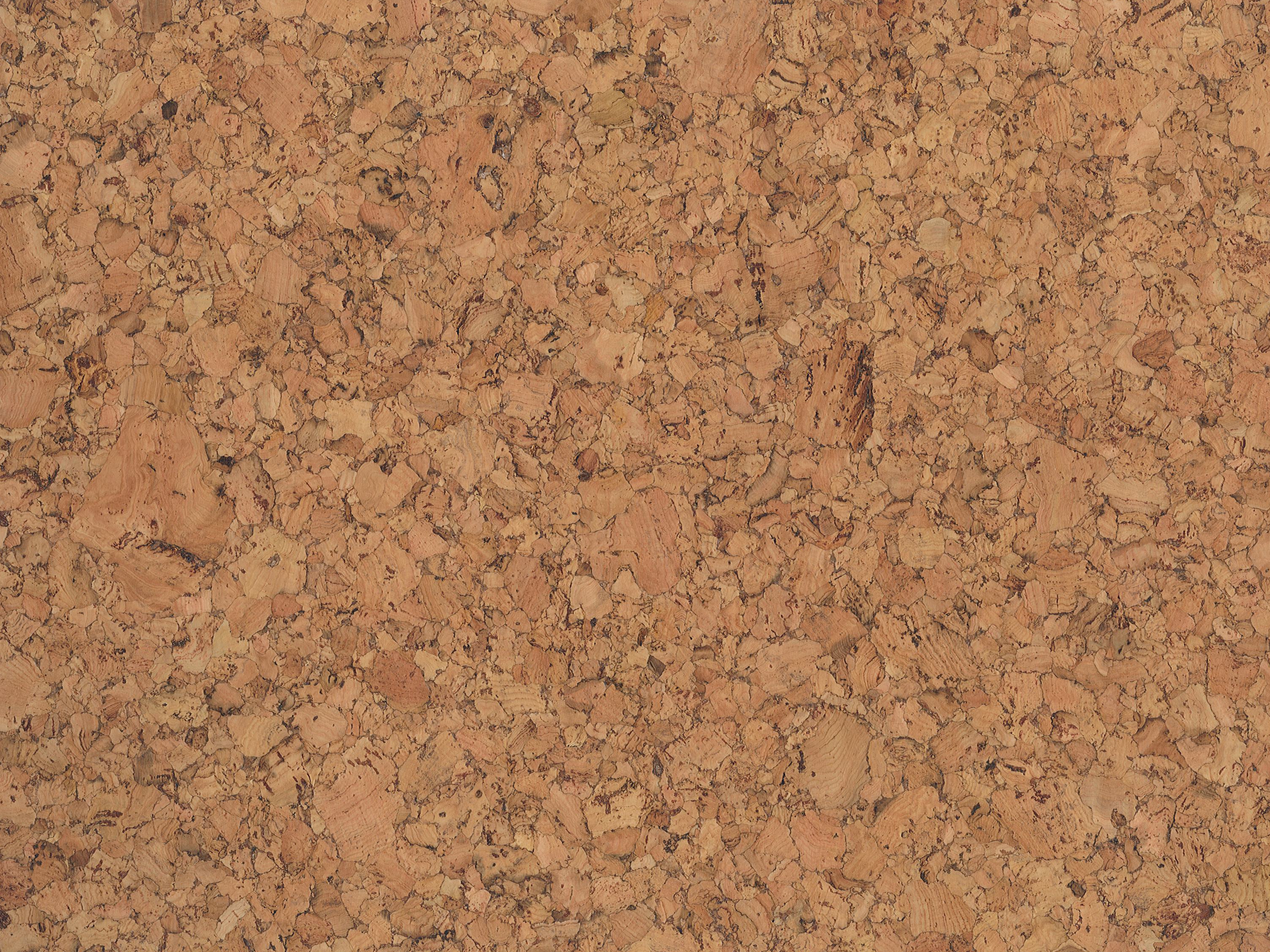 TRECOR® Klick Korkboden Evora - 10 mm Stark - Farbe: Natur - Keramiklack