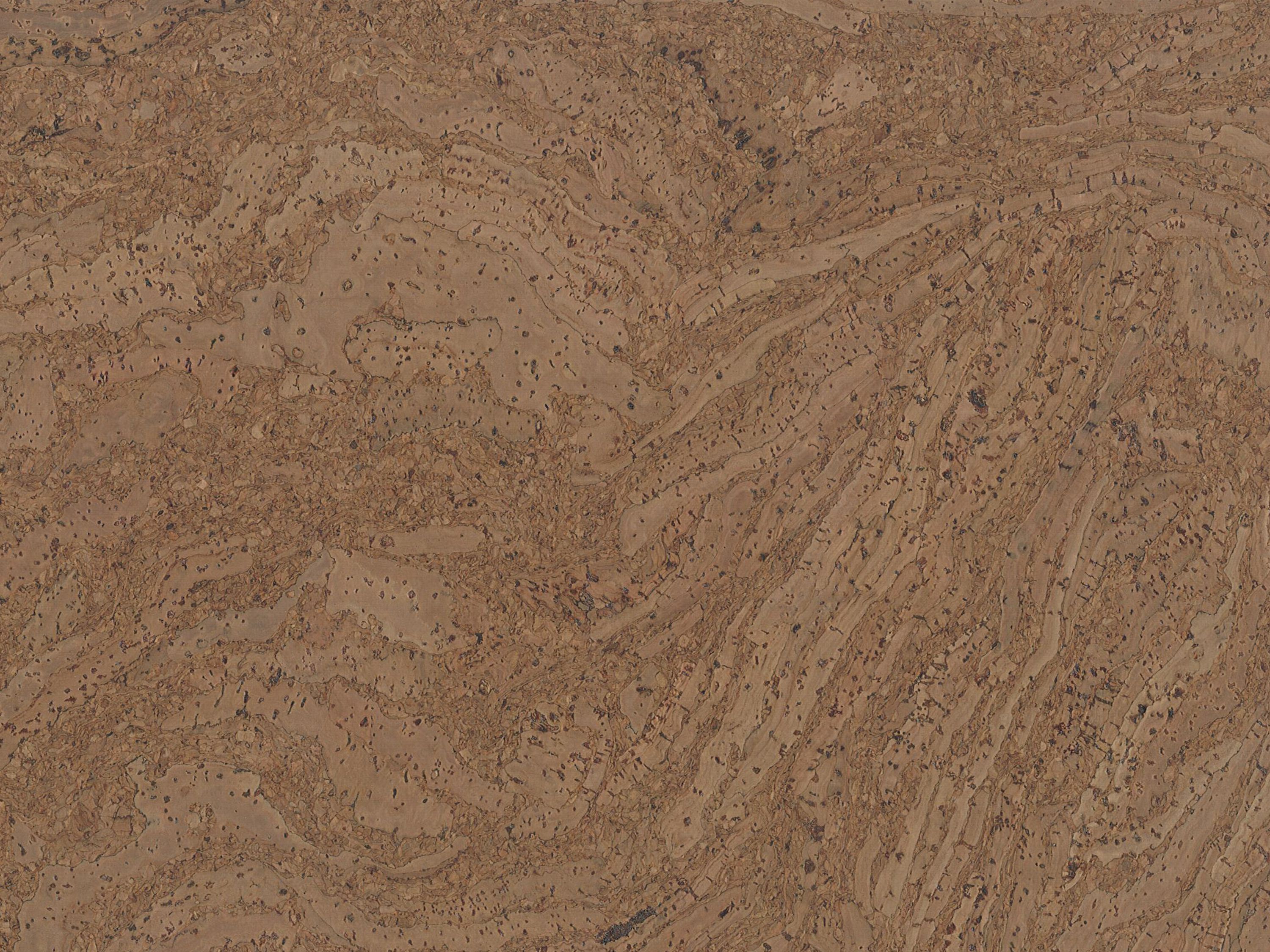 TRECOR® Klick Korkboden Stilo - 10 mm Stark - Farbe: Hellgrau